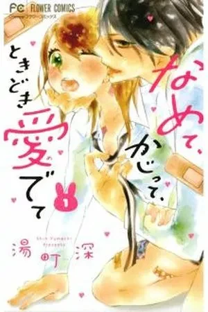 Portada de El caótico amor de haru y seishirou